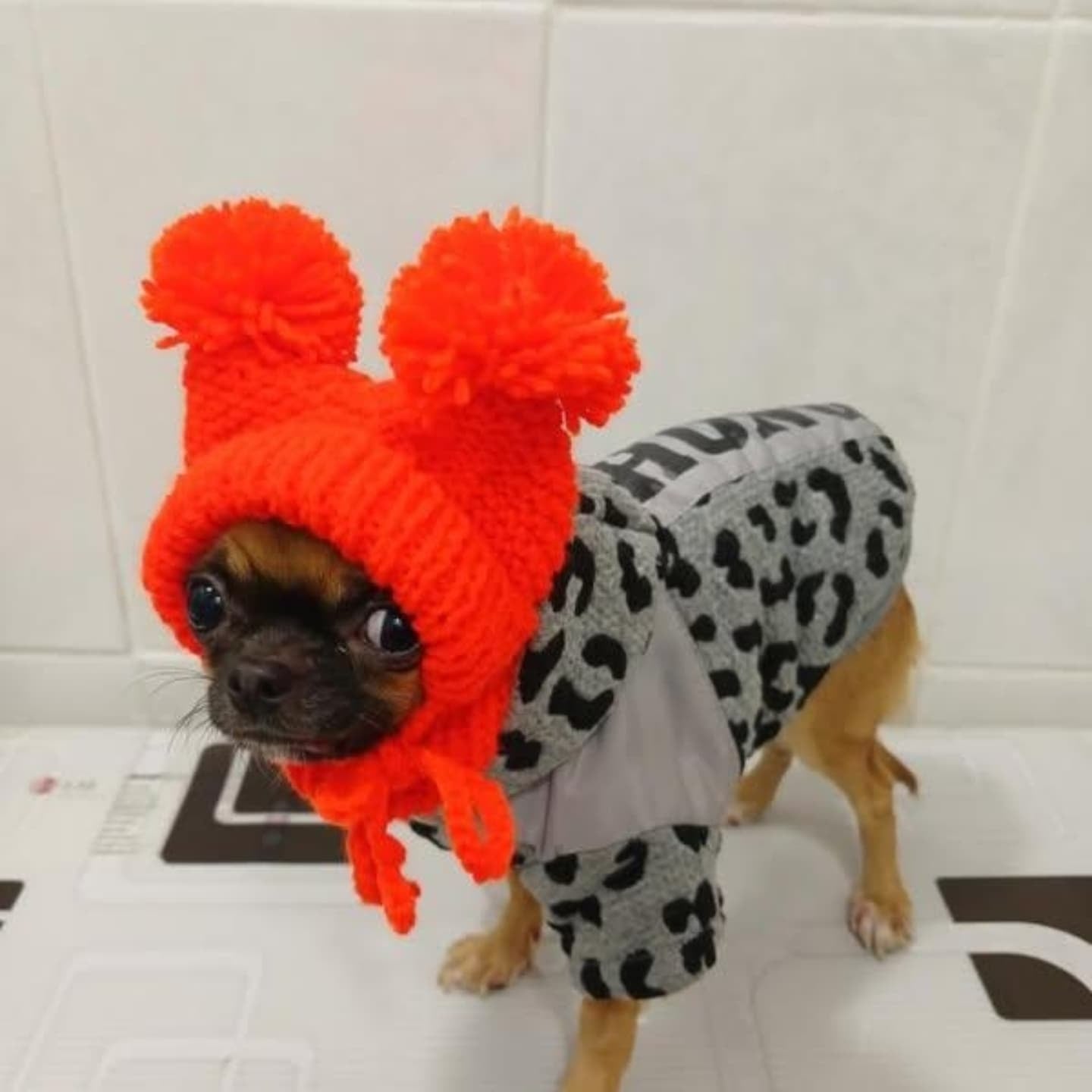 Knitted Hat for Small Dog Breeds with Covered Ears and Double Pom Poms