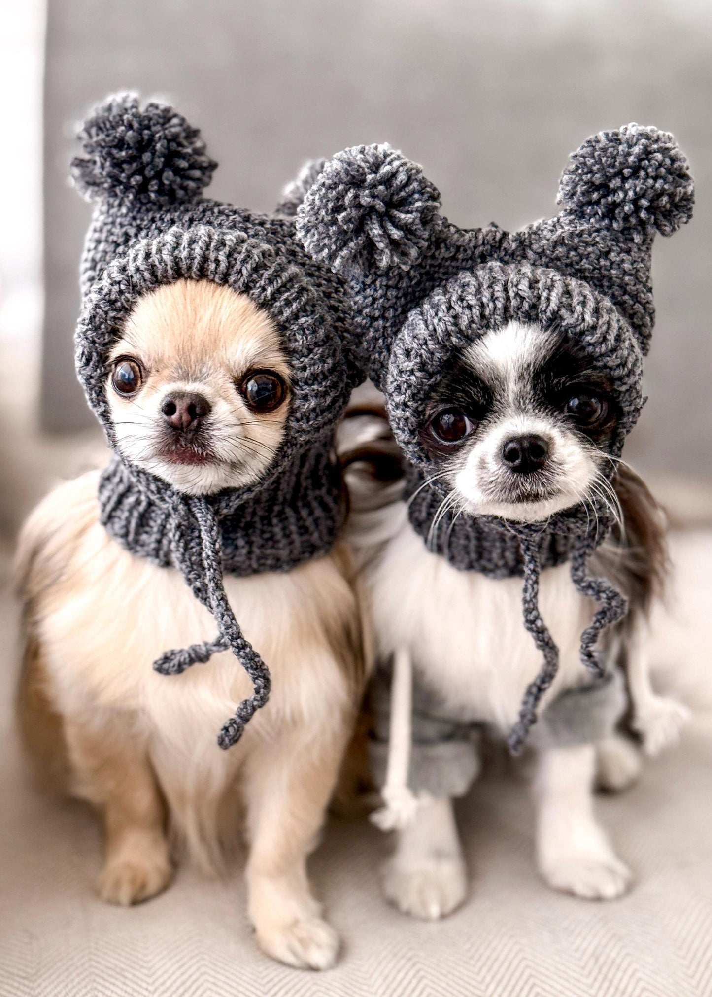 Knitted Hat for Small Dog Breeds with Covered Ears and Double Pom Poms