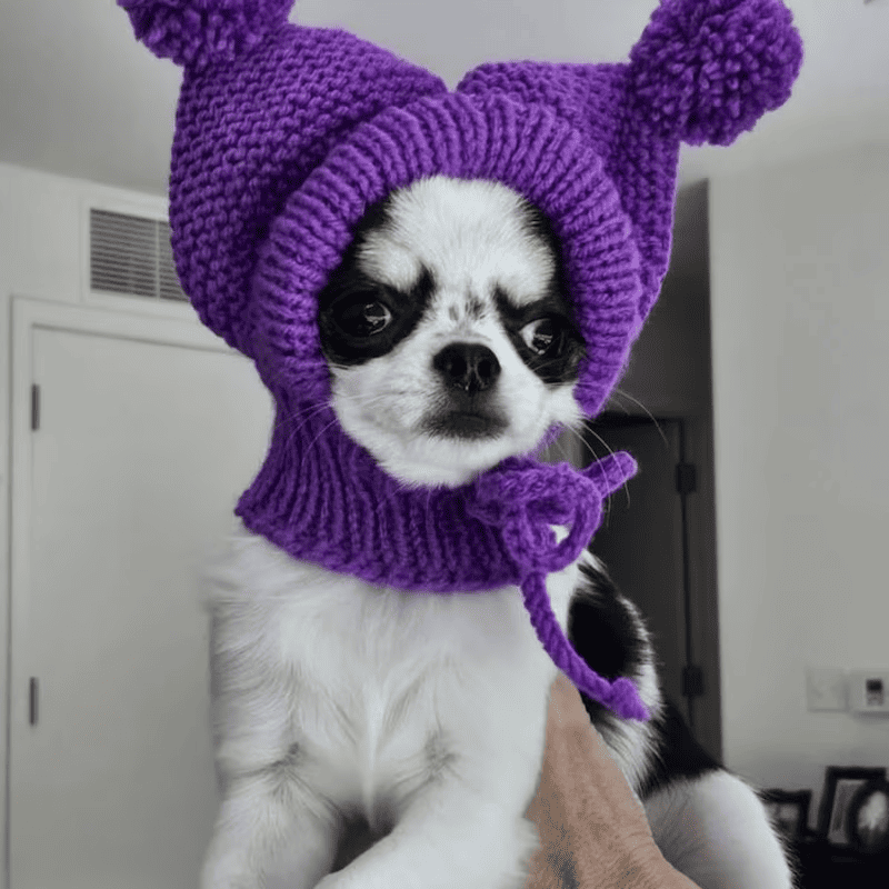 Knitted Hat for Small Dog Breeds with Covered Ears and Double Pom Poms