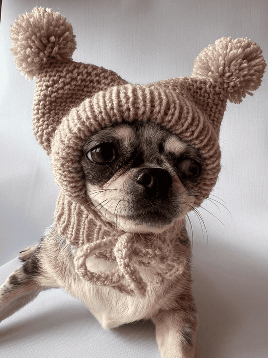 Knitted Hat for Small Dog Breeds with Covered Ears and Double Pom Poms