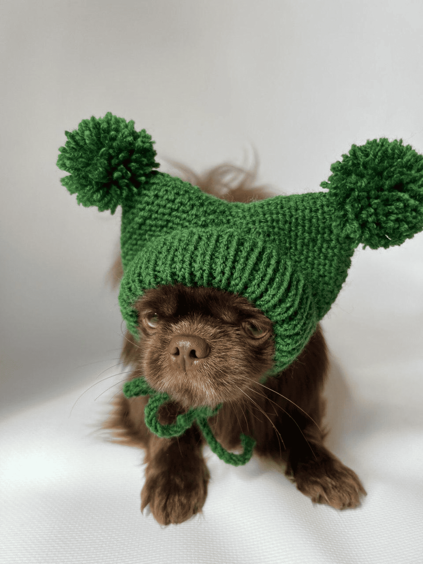Knitted Hat for Small Dog Breeds with Covered Ears and Double Pom Poms