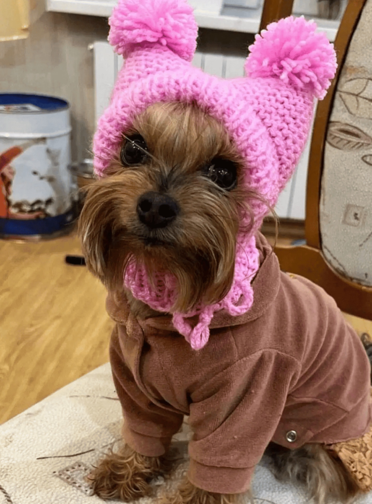 Knitted Hat for Small Dog Breeds with Covered Ears and Double Pom Poms