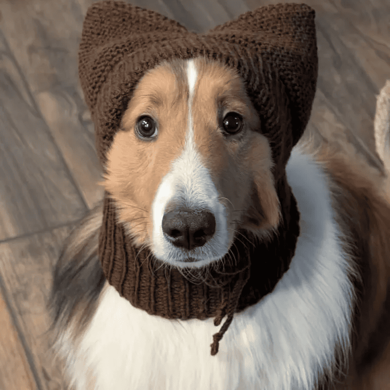 Knitted Handmade Dog Hat for Large Breeds with Covered Ears