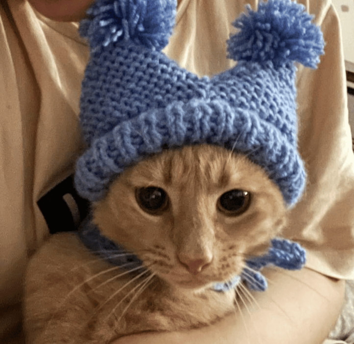 Knitted Cat Hat with Covered Ears