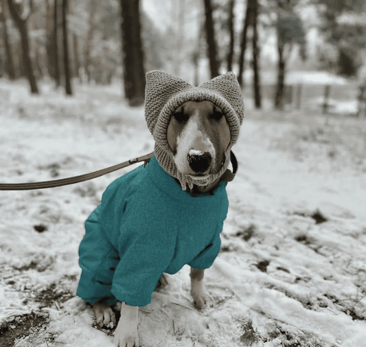 Knitted Handmade Dog Hat for Large Breeds with Covered Ears