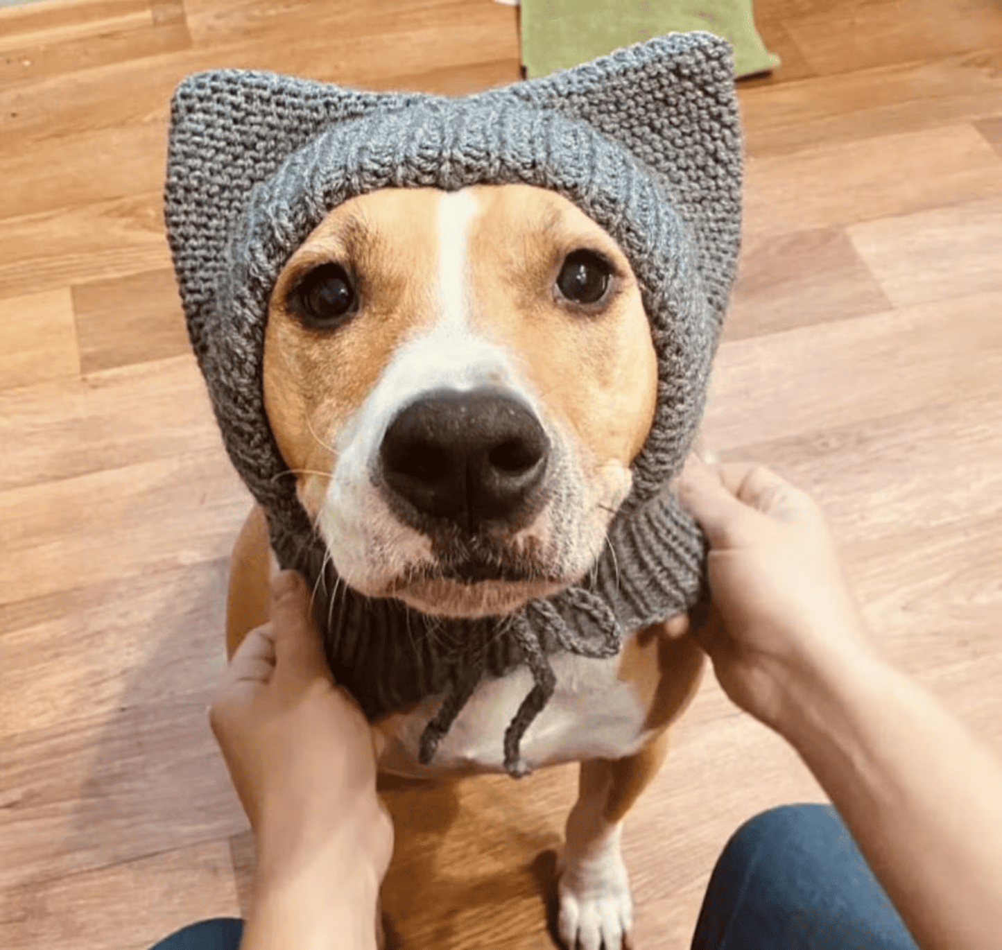 Knitted Handmade Dog Hat for Large Breeds with Covered Ears