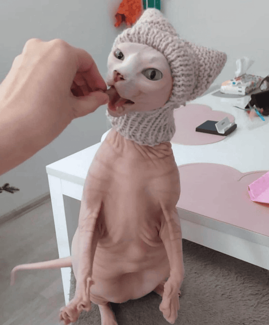 Knitted Cat Hat with Covered Ears