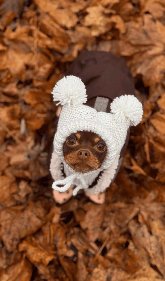 Knitted Hat for Small Dog Breeds with Covered Ears and Double Pom Poms