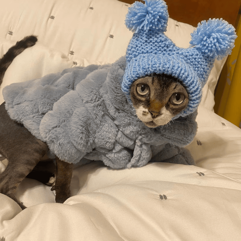 Knitted Cat Hat with Covered Ears