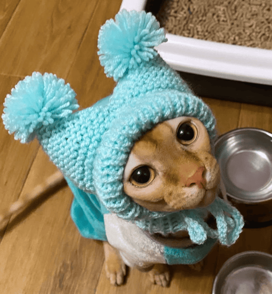 Knitted Cat Hat with Covered Ears
