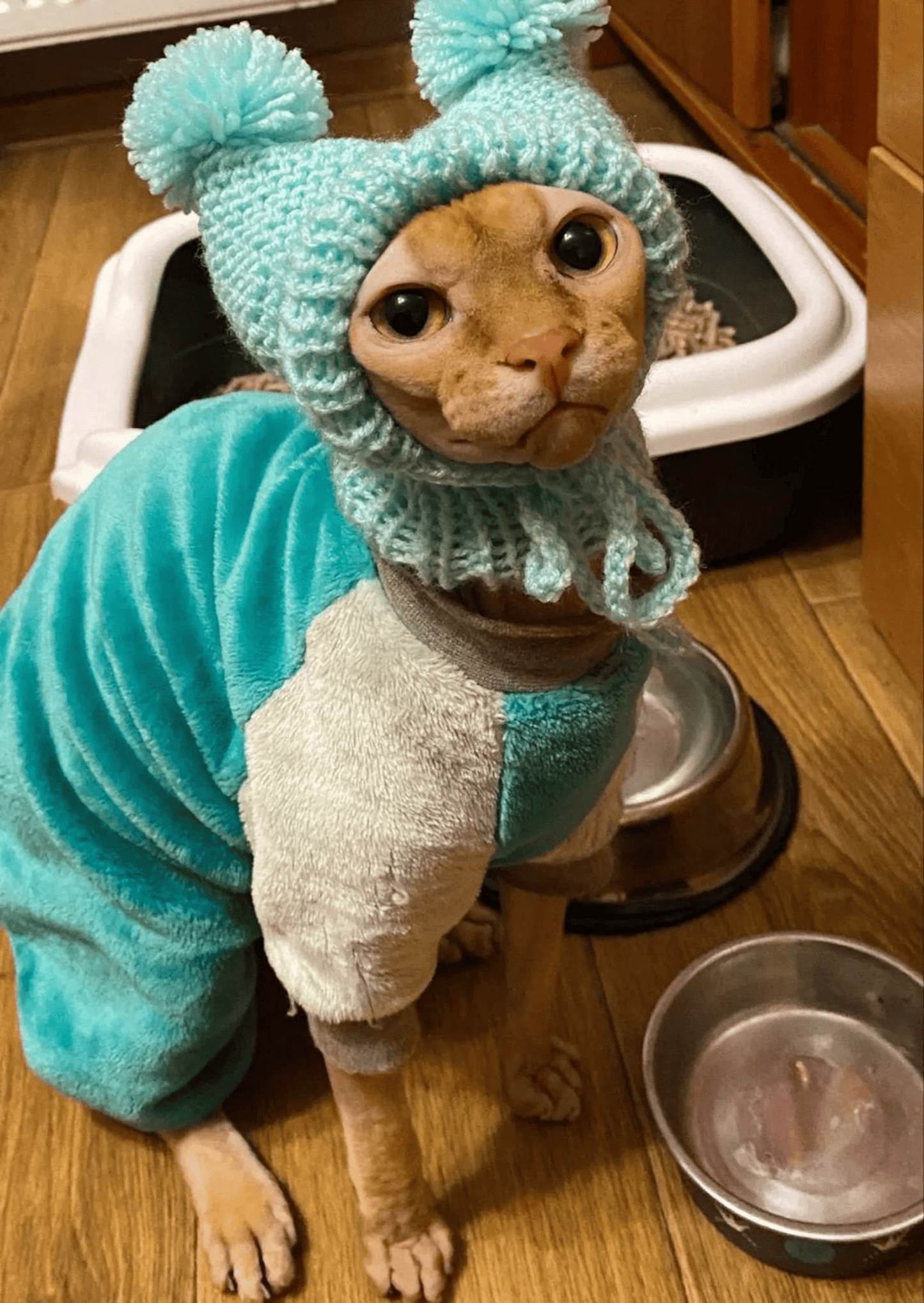 Knitted Cat Hat with Covered Ears