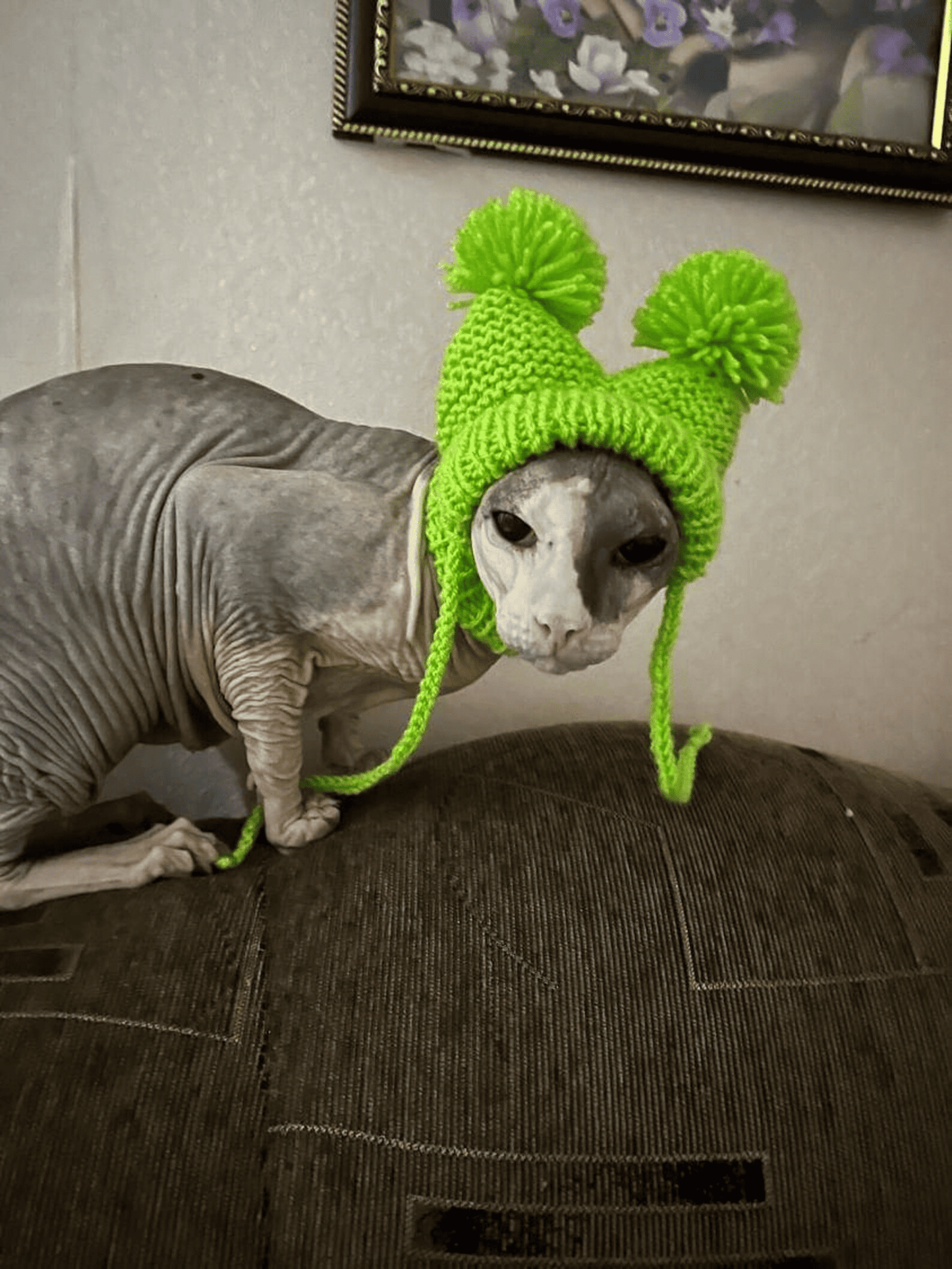 Knitted Cat Hat with Covered Ears