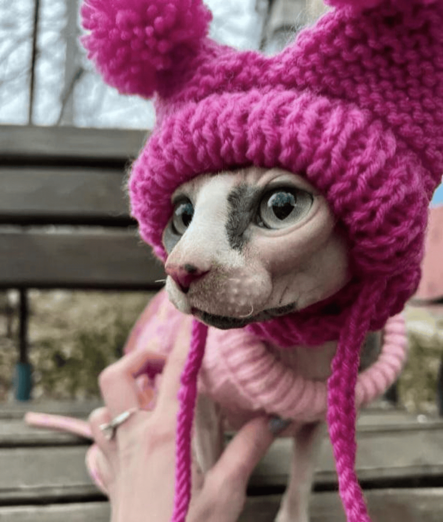 Knitted Cat Hat with Covered Ears