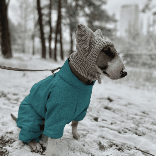 Knitted Handmade Dog Hat for Large Breeds with Covered Ears