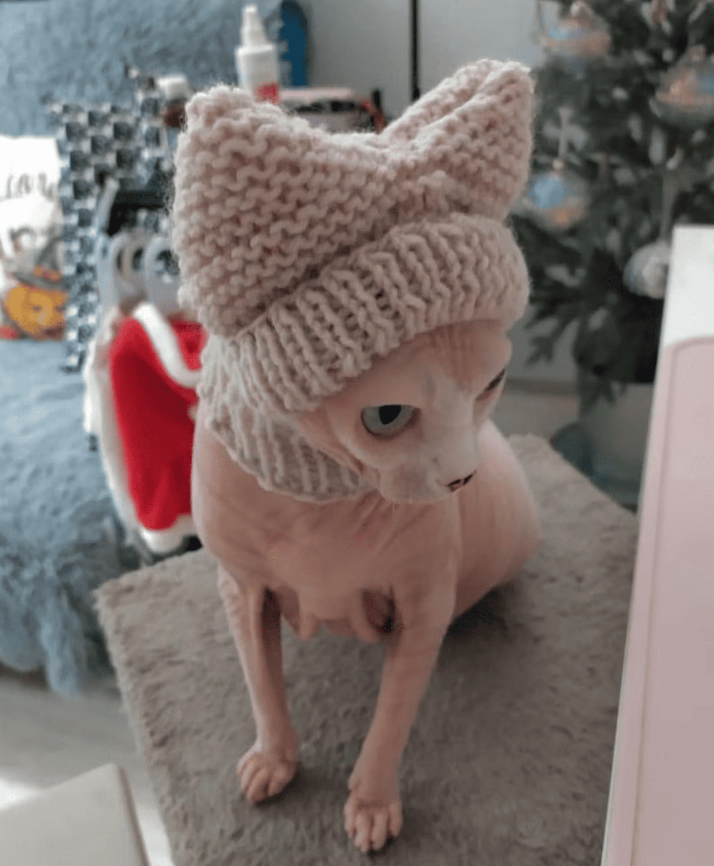 Knitted Cat Hat with Covered Ears